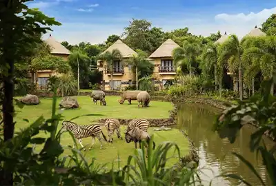 Bali Safari